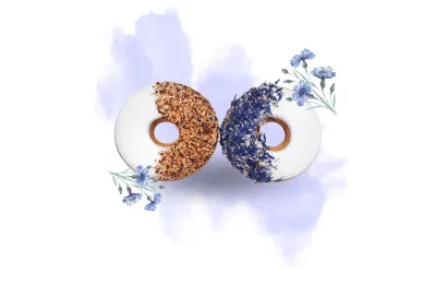 Anti-Gaspi: Duo van donuts met bosbes & rozenbottel voor paarden - Candy Horse