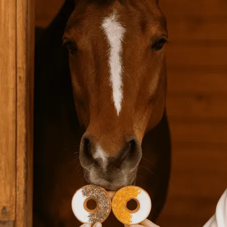Anti-Desperdicio: D&uacute;o de donuts perejil & cal&eacute;ndula para caballos