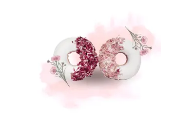 Anti-Gaspi Duo Donuts mit rosa Kornblume f&uuml;r Pferde &ndash; Candy Horse