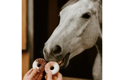 Anti-Gaspi : duo de donuts au bleuet rose pour chevaux