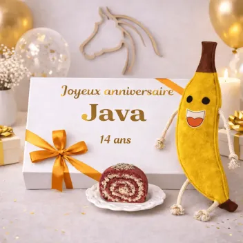 Petit coffret anniversaire personnalis&eacute; pour cheval