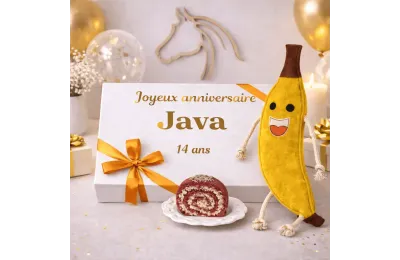 Petit coffret anniversaire personnalis&eacute; pour cheval