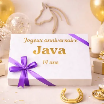 Peque&ntilde;a caja de cumplea&ntilde;os personalizada para caballos | Merlin&Cie