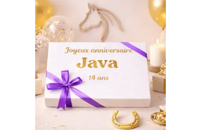 Coffret anniversaire personnalis&eacute; pour cheval &ndash; format moyen - Merlin&Cie