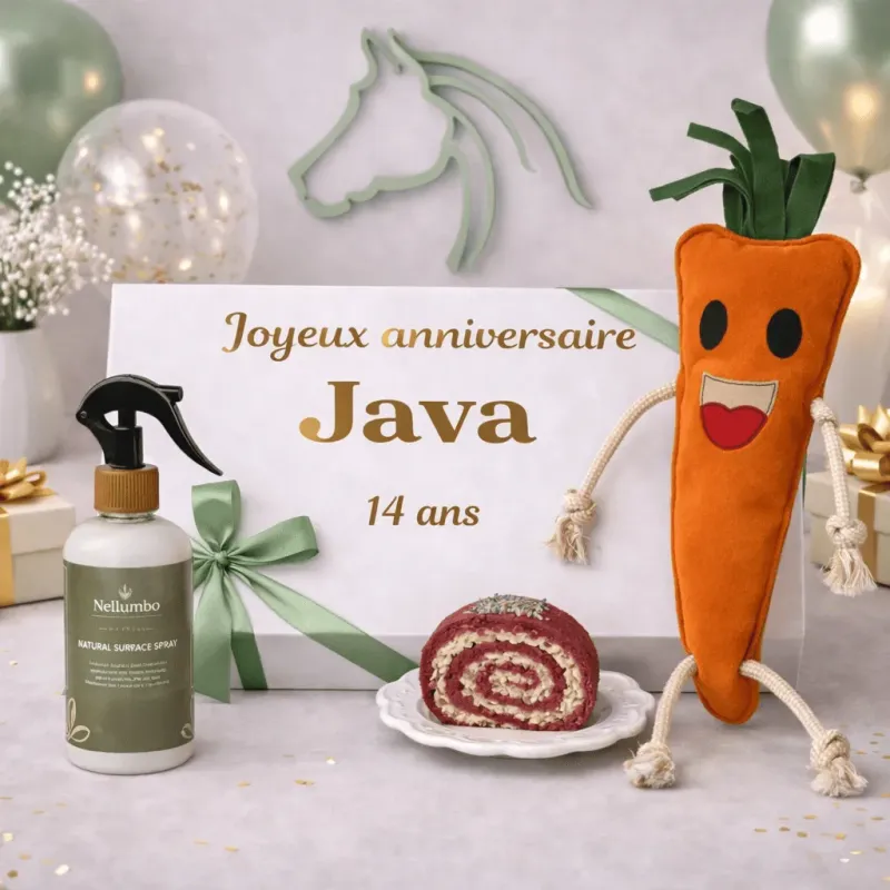 Coffret anniversaire personnalis&eacute; pour cheval &ndash; format moyen