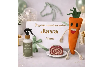 Cofanetto di compleanno personalizzato per cavalli &ndash; formato medio