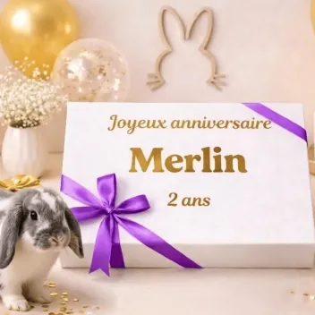 Peque&ntilde;a caja de cumplea&ntilde;os personalizada para conejos - Merlin&Cie