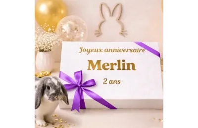 Petit coffret anniversaire personnalis&eacute; pour lapin