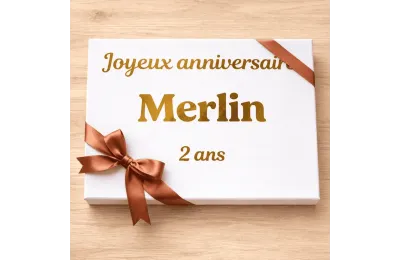 Grande cofanetto di compleanno personalizzato per conigli - Merlin&Cie
