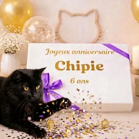 Kleine gepersonaliseerde verjaardagsbox voor katten