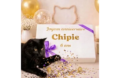 Piccolo cofanetto di compleanno personalizzato per gatti