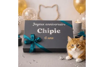 Grande cofanetto di compleanno personalizzato per gatti
