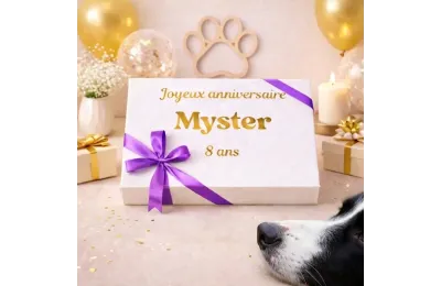 Coffret anniversaire personnalis&eacute; pour chien &ndash; coffret moyen