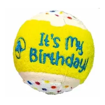 Gran caja de cumplea&ntilde;os personalizada para perros peque&ntilde;os - Merlin&Cie
