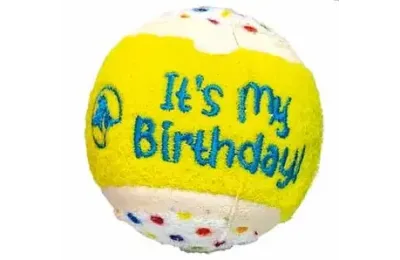 Large personalised birthday box for small dogs | Merlin&Cie