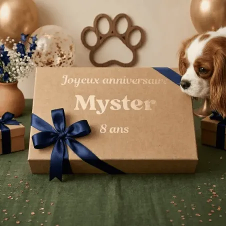 Gran caja de cumplea&ntilde;os personalizada para perros peque&ntilde;os