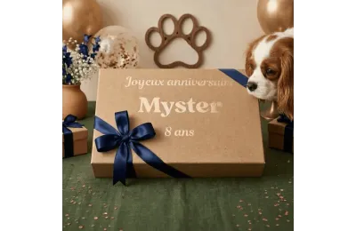 Grote gepersonaliseerde verjaardagsbox voor kleine honden