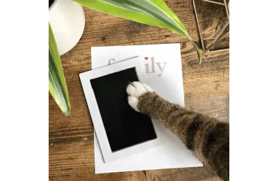 Cornice ricordo con impronte della famiglia e della zampa dell&rsquo;animale - The Lovely Gift Group