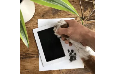 Family and pet paw print keepsake frame - The Lovely Gift Group