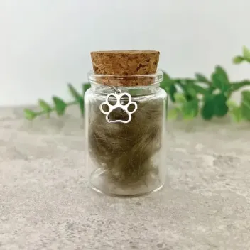 Paw print keepsake kit for pets - The Lovely Gift Group