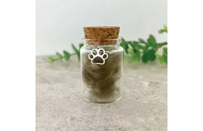 Coffret souvenir empreinte de patte pour animaux - The Lovely Gift Group