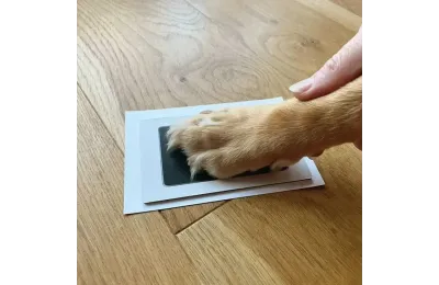 Paw print keepsake kit for pets - The Lovely Gift Group