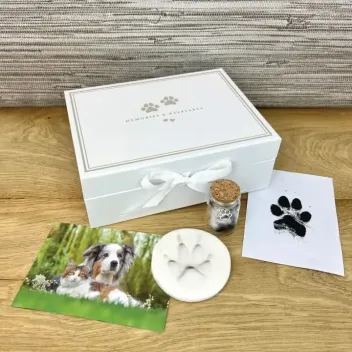 Set recuerdo con huella de pata para mascotas - The Lovely Gift Group