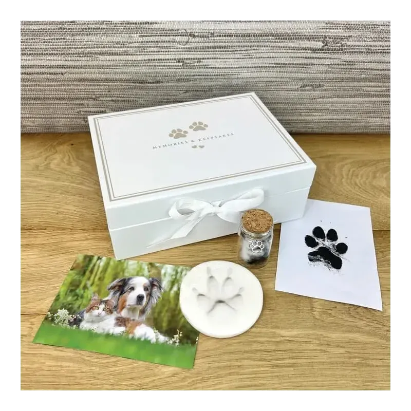 Paw print keepsake kit for pets