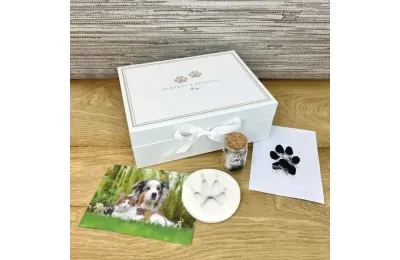 Coffret complet pour souvenirs d&rsquo;animaux