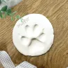 Paw print keepsake kit for pets - The Lovely Gift Group
