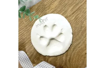 Paw print keepsake kit for pets - The Lovely Gift Group