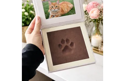 Paw print keepsake frame for cats