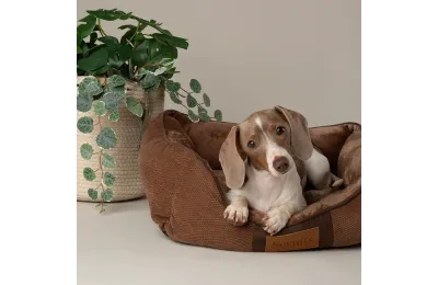 Weiches Hundebett 60 x 50 cm &ndash; komfortabler Liegeplatz in Schokoladenbraun - Scruffs
