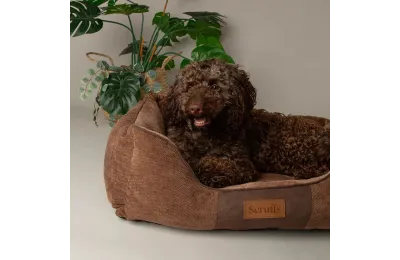 Panier pour chien moelleux 60 x 50 cm &ndash; couchage confortable brun chocolat - Scruffs