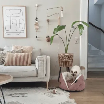 Weiches Katzenk&ouml;rbchen im Cocoon-Stil &ndash; gem&uuml;tliches und stilvolles Katzenbett - District 70