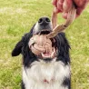 Balle en su&egrave;de naturel avec corde pour chien