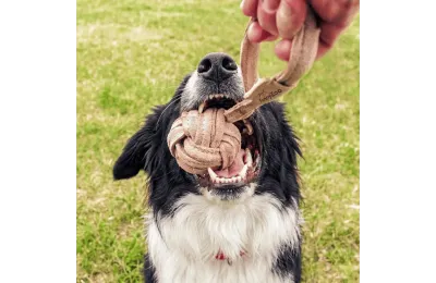 Balle en su&egrave;de naturel avec corde pour chien
