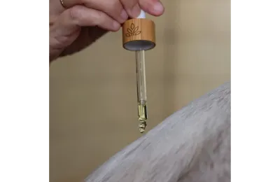 Nourishing horse mane serum &ndash; natural care for shine and repair - Nellumbo