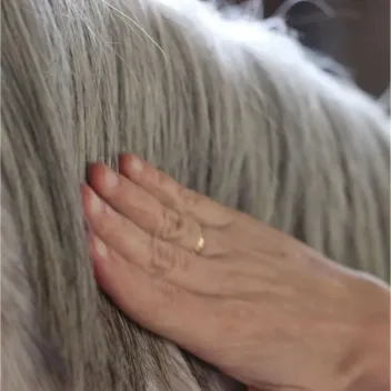 S&eacute;rum nourrissant pour crins de cheval &ndash; soin naturel brillance et r&eacute;paration - Nellumbo