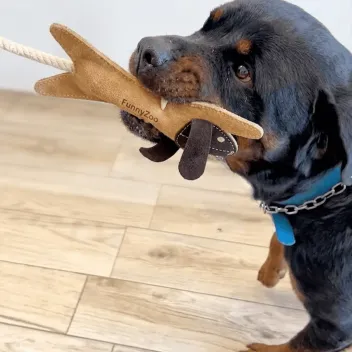 Interactive rabbit dog toy with rope – tug toy with handle