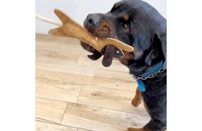 Interactive rabbit dog toy with rope &ndash; tug toy with handle