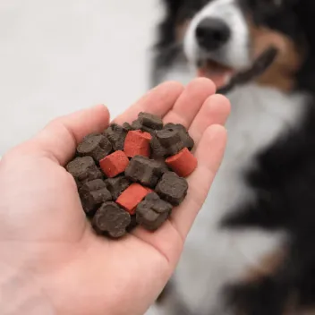 Friandises chien &eacute;ducation Maxi au b&oelig;uf et riche en volaille &ndash; 475 g - HamiForm
