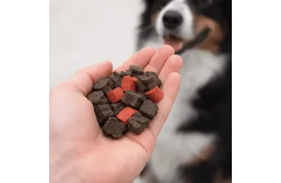 Hundesnacks Erziehung Maxi Rind & reich an Gefl&uuml;gel &ndash; 475 g - HamiForm