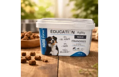 Snack per cani educazione Maxi manzo & ricchi di pollame &ndash; 475 g - HamiForm