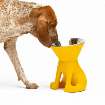 Gamelle surélevée design pour chien avec bol inox amovible – 1100 ml - United Pets