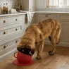 Anti-spat voerbak voor hond rood met antislipmat &ndash; bekerdesign - United Pets