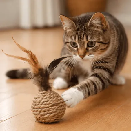 Gioco per gatti palla in corda con piume e suono a clic