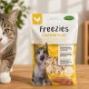 Freeze-dried cat treats &ndash; chicken, duck, salmon or chicken liver &ndash; 30 g