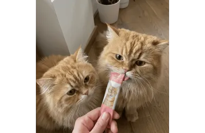 Romige kattensnacks in sticks &ndash; kip & kaas of zalm & krill &ndash; x4 (60 g)