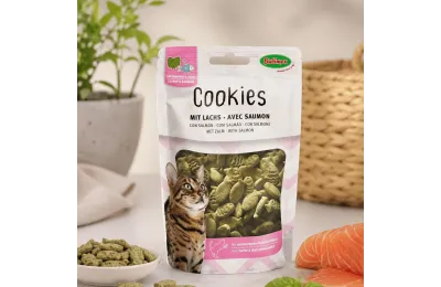 Cat biscuits with catnip and salmon &ndash; fish shape &ndash; 50 g &ndash; Bubimex